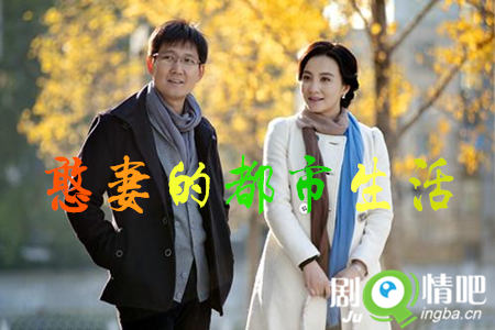 憨妻的都市生活剧照