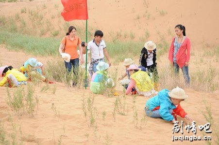 电影小熊的夏天剧照