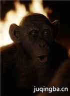 猩球崛起3:终极之战演员史蒂夫·茨恩剧照