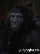 猩球崛起3:终极之战演员朱迪·格雷尔剧照