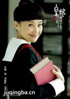 皇粮胡同十九号演员许晴剧照