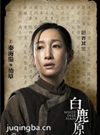 白鹿原演员秦海璐剧照