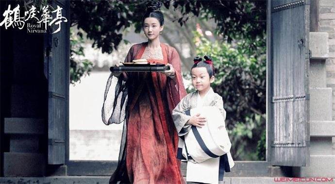 鹤唳华亭阿元是谁的儿子