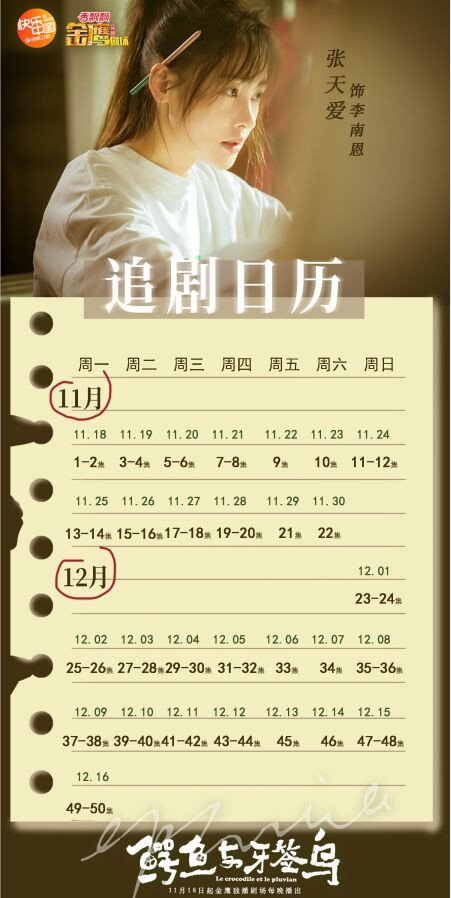 鳄鱼与牙签鸟播出时间