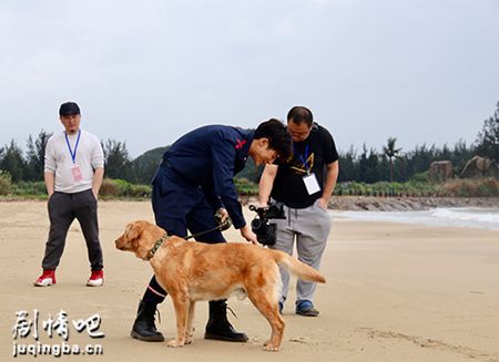 神犬小七第三季剧照