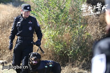 警花与警犬剧照